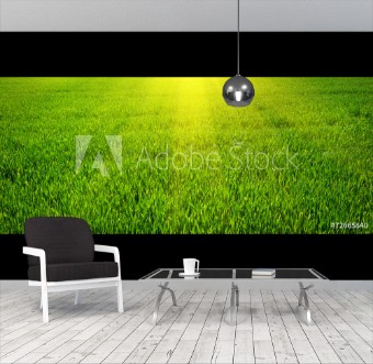 Picture of Green lawn for background